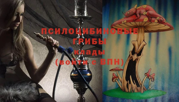 mdpv Михайловск